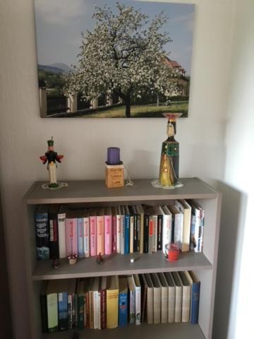Ferienwohnung Graupner Schwarzenberg  Buitenkant foto